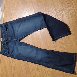 Hudson jeans size 31
